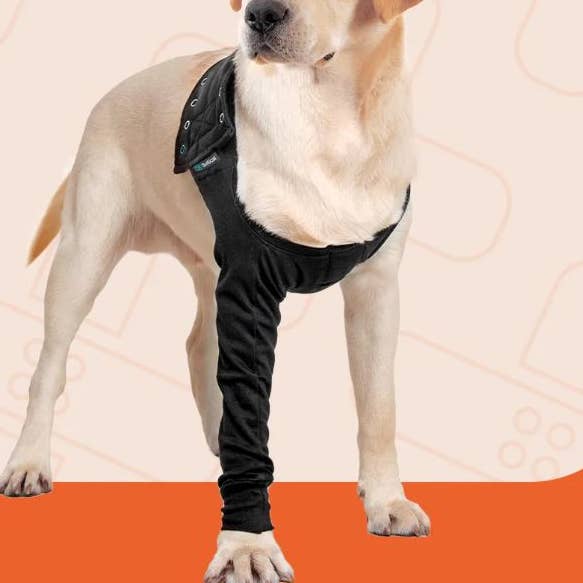 Manche de récupération pour chien Suitical Noir pour la vente par PetGiftz LLC