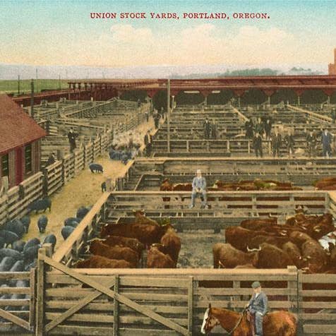 Impression d'art OR-93 Union Stockyards, Portland pour la vente par Found Image Press