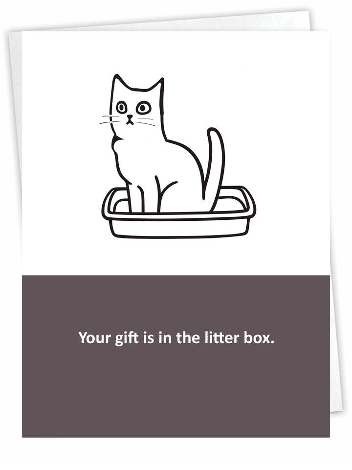 Karte für den täglichen Gruß der Katze | Lustige Karten | Katzenklo für den Großhandel von Blue Spark Card Co