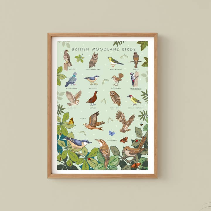 Angie Spurgeon Illustration and Design - Wholesale Art Print - British Woodland Birds Wall Art Print A4 Unframed3