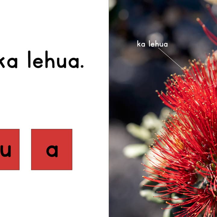 Kaulana Mahina - Wholesale Preschool Book (3-5) - WHOLESALE Ka ʻŌhiʻa1