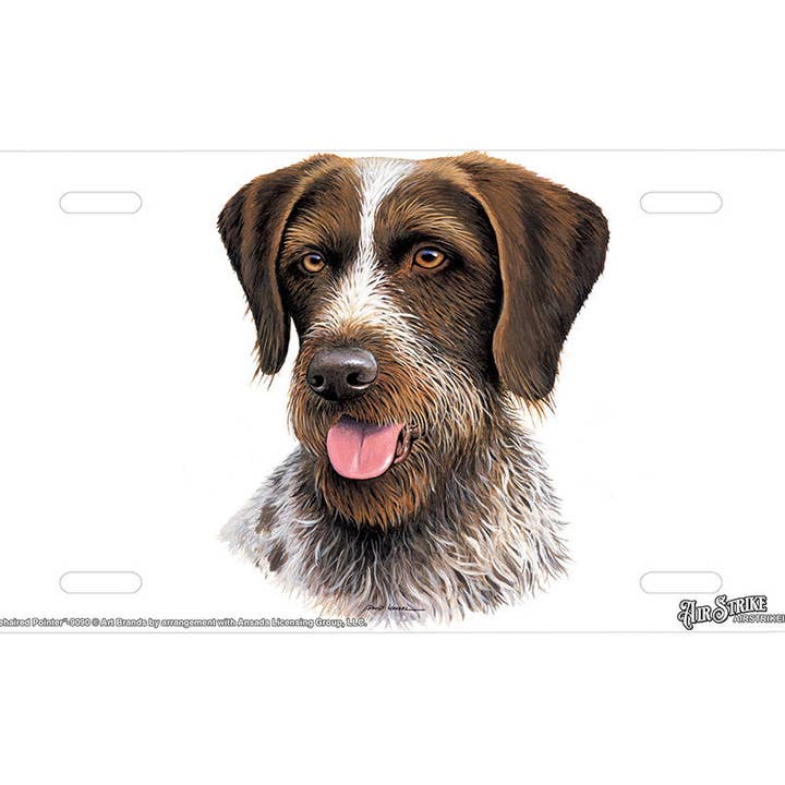 "German Wirehaired Pointer" - Decorative License Plate for wholesale by Airstrike