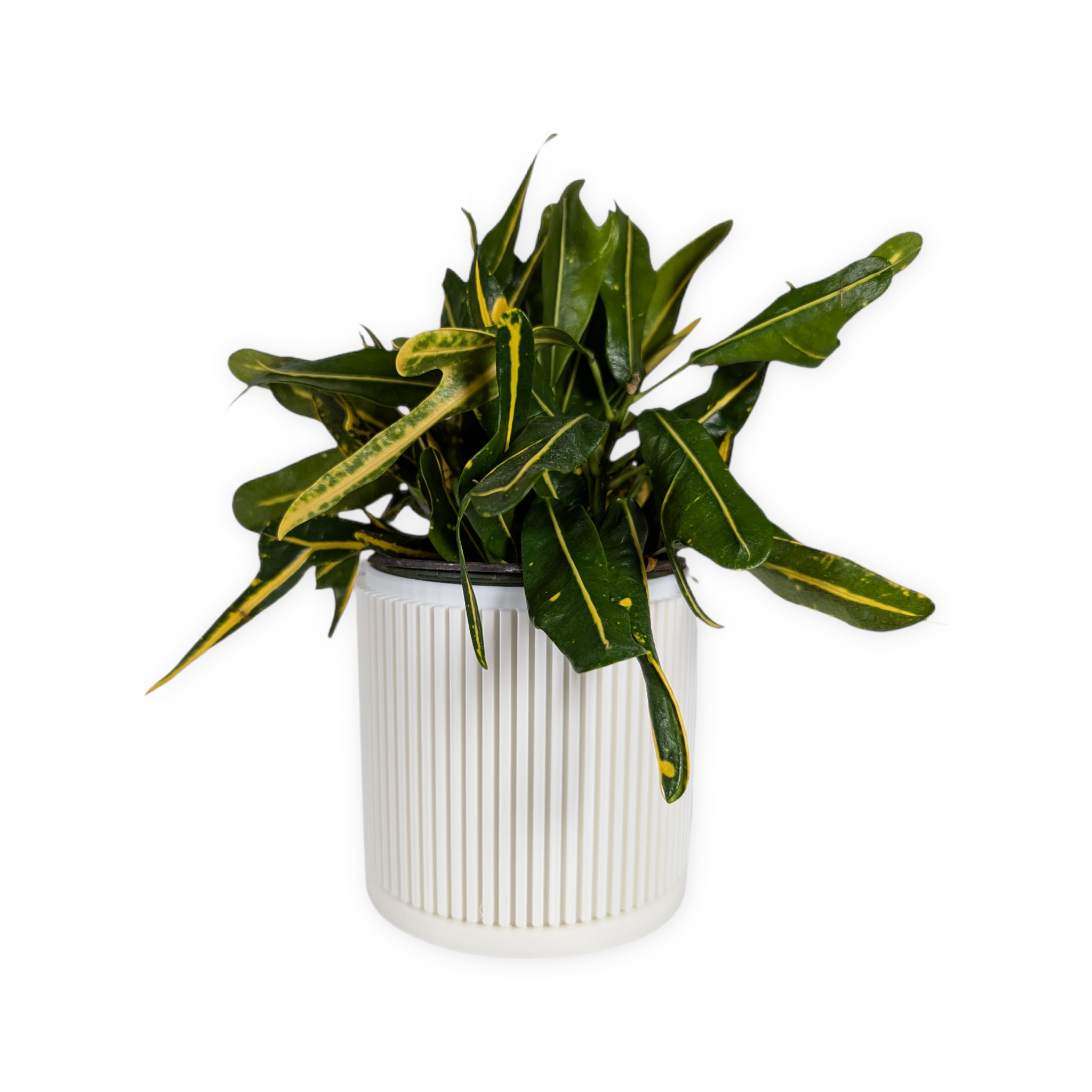 Leafprints.3d - Wholesale Plant Pot - The Willow – 4 Inch Planter with Drip Tray2