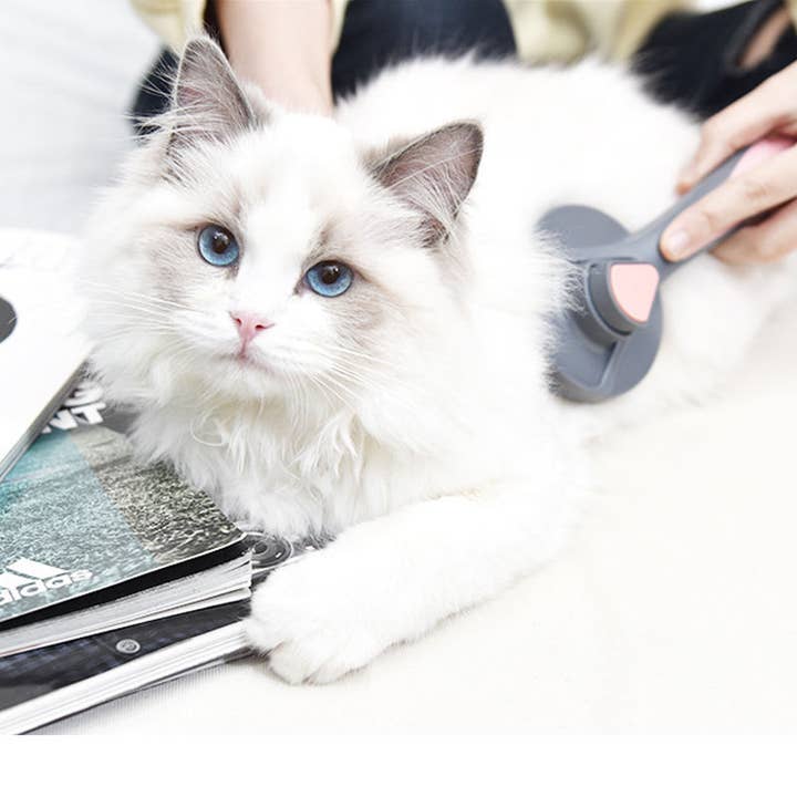 VIGOR - Vente Outil de toilettage – chien - Peigne autonettoyant pour poils d'animaux avec brosse automatique3