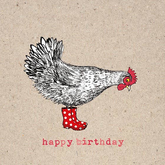 Botas de aniversário por atacado de Paper Bird Publishing