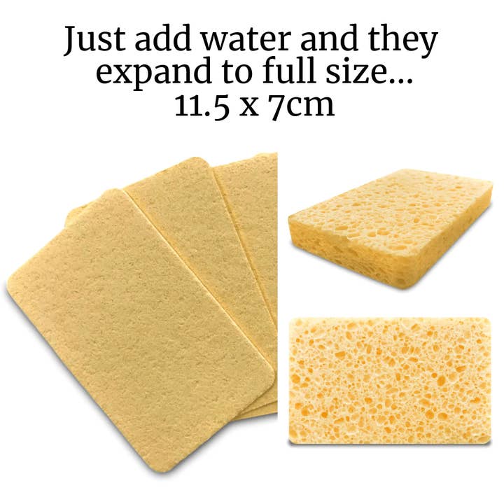 Spugne per pulizia compostabili (5 per confezione) per la vendita all'ingrosso da parte di EcoVibe
