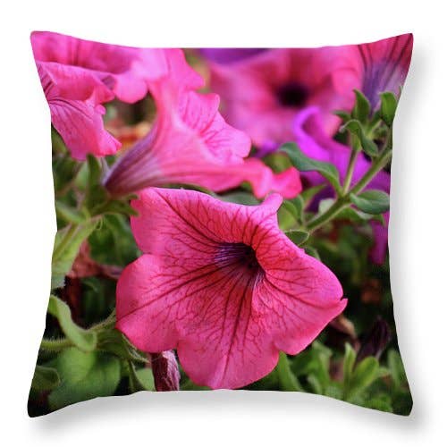 COUSSIN « LES VENTS ET LES FLEURS » pour la vente par sorayadapuzzostore