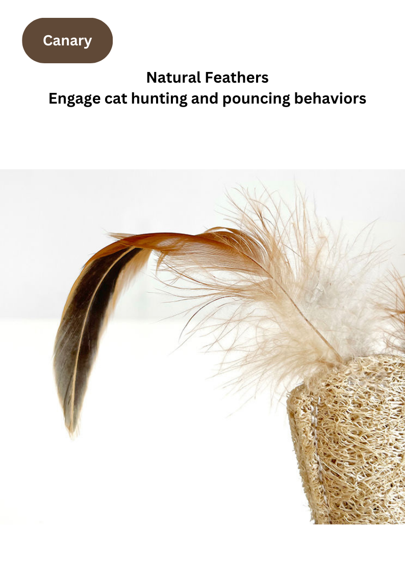 CATWANT - Vente Jouet – chat - Jouets Silvervine Tumbler - Modèles Canary et Panda2