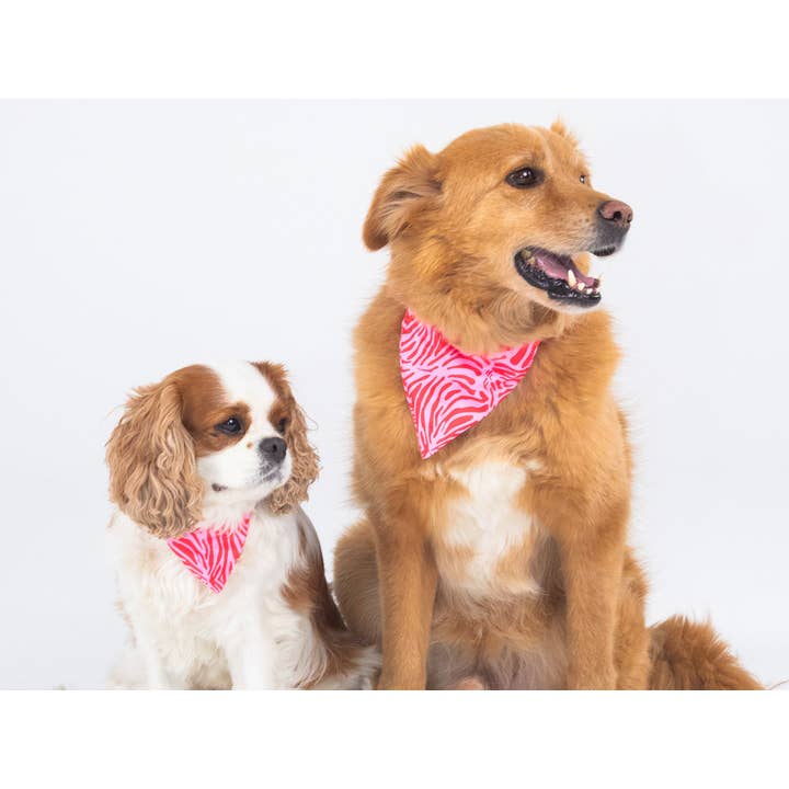 French Bandit - Wholesale Pet Bandana - Dog - Pink zebra dog bandana1
