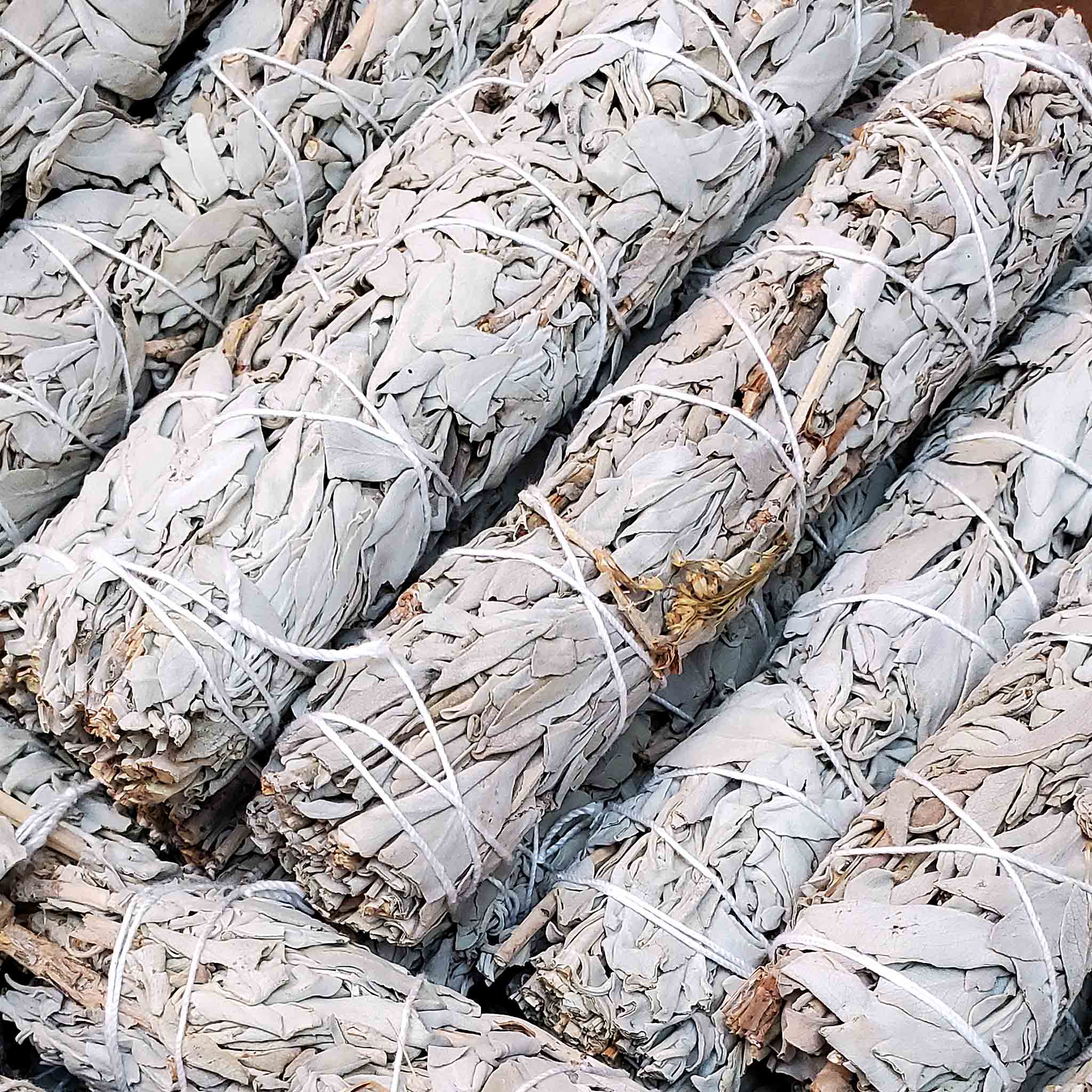 Monague Indigenous Crafts & Gifts - Wholesale Wierrookbundel - Bulk Smudges, 24 stuks3