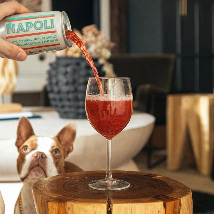 "Napoli" Italian-Style N.A. Aperitivo -12 Pack for wholesale by Figment Kombucha