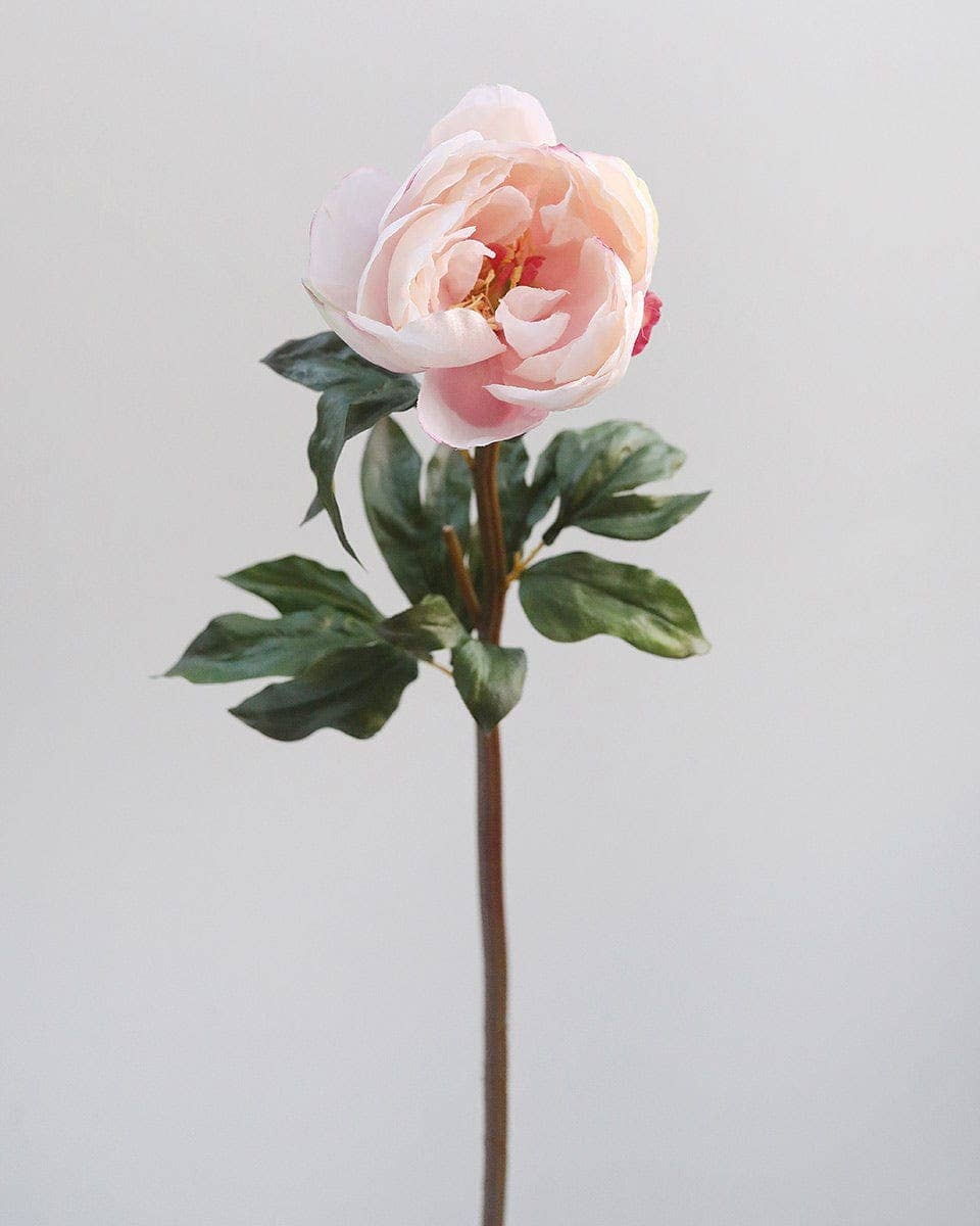 Wholesale Pink Waterlily Peony 21" for your store Faire