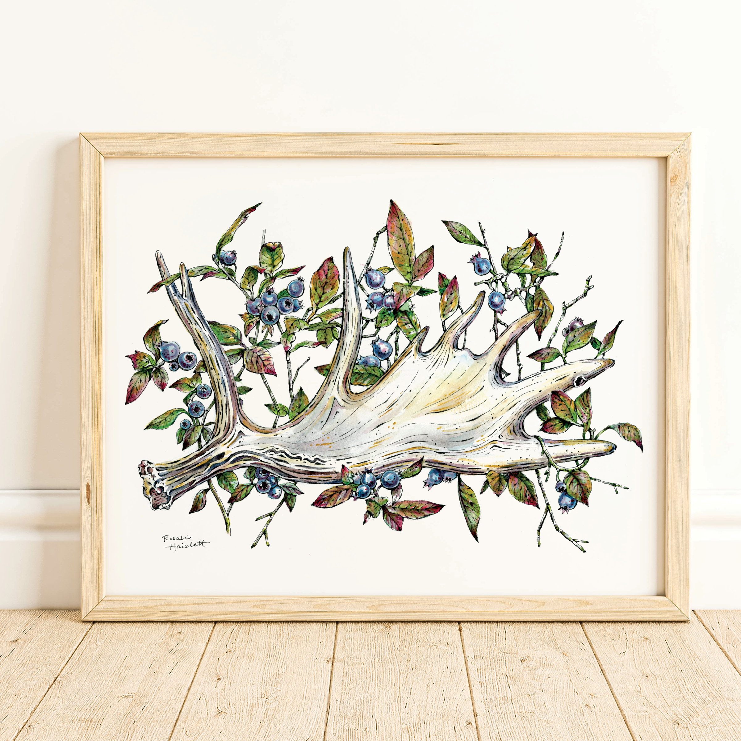 Rosalie Haizlett Illustration - Vendita all'ingrosso Stampa artistica - Stampa artistica ad acquerello con corna d'alce1
