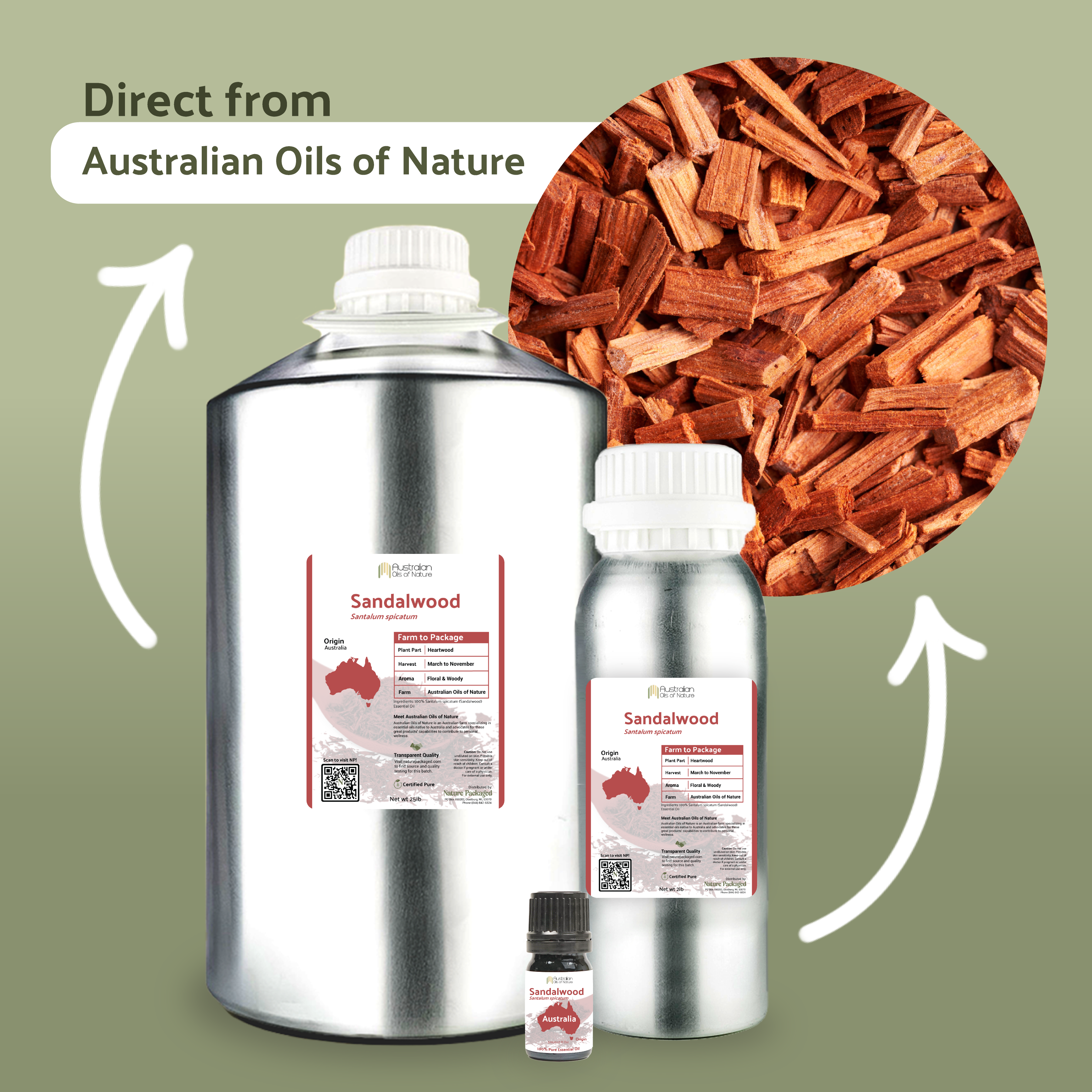 Nature Packaged - Wholesale Essential Oil - Sandalwood Essential Oil - 100% Pure - Farm-Direct Sourcing1