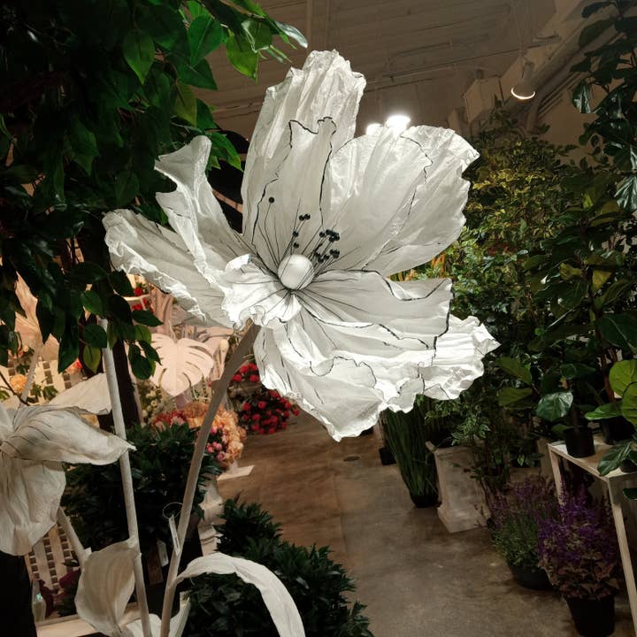AC10362WHBK GIANT PAPER POPPY,5' for wholesale by Green Import Limited