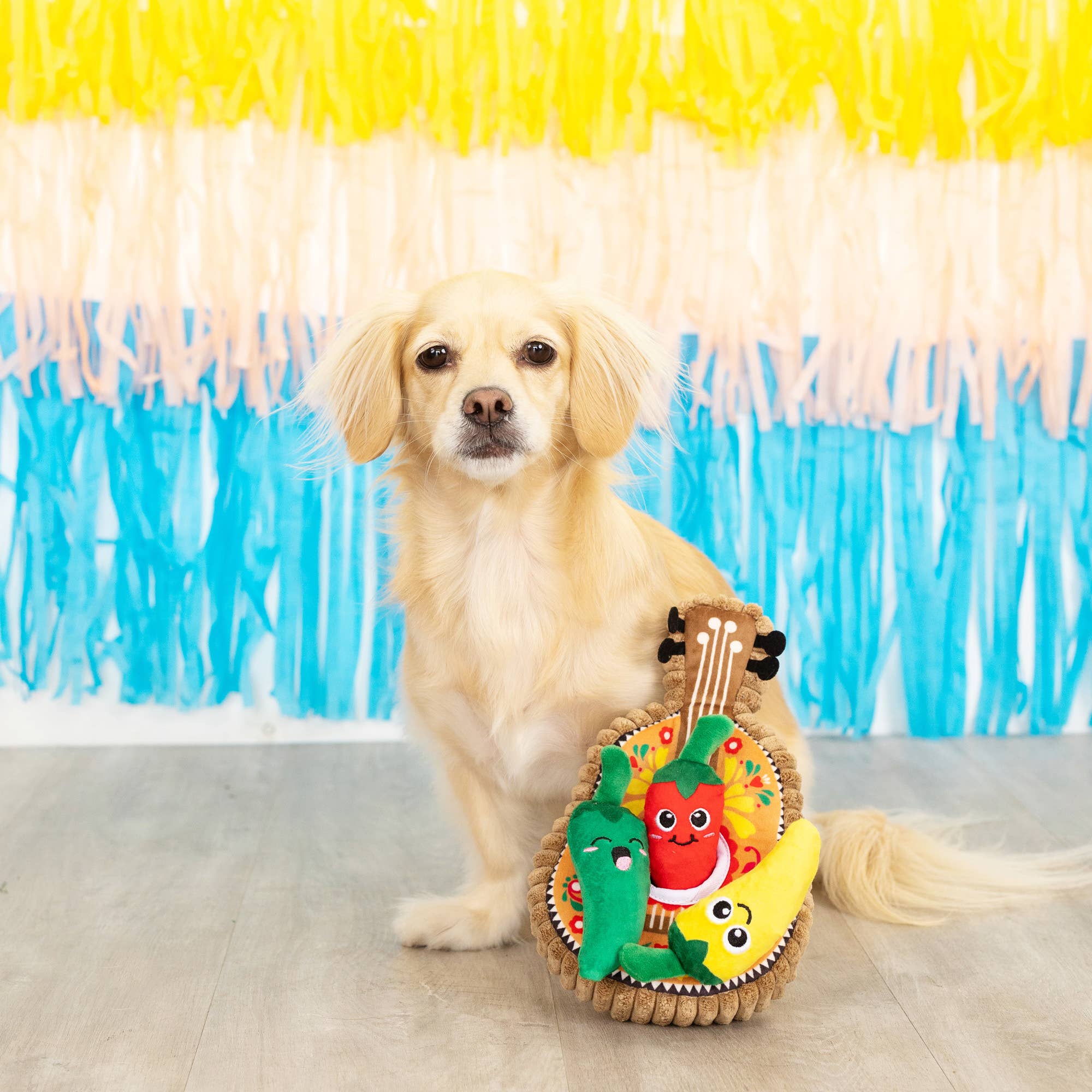 Petshop by Fringe Studio - Wholesale Pet Plush Toy - Dog - FIESTA TILL YOU SIESTA PLUSH DOG TOY SET2