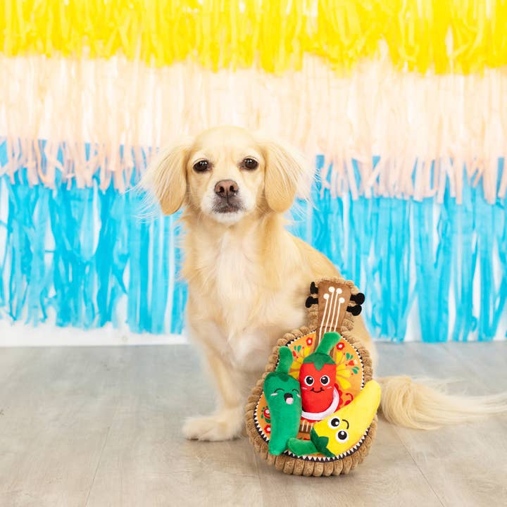 Petshop by Fringe Studio - Wholesale Pet Plush Toy - Dog - FIESTA TILL YOU SIESTA PLUSH DOG TOY SET2