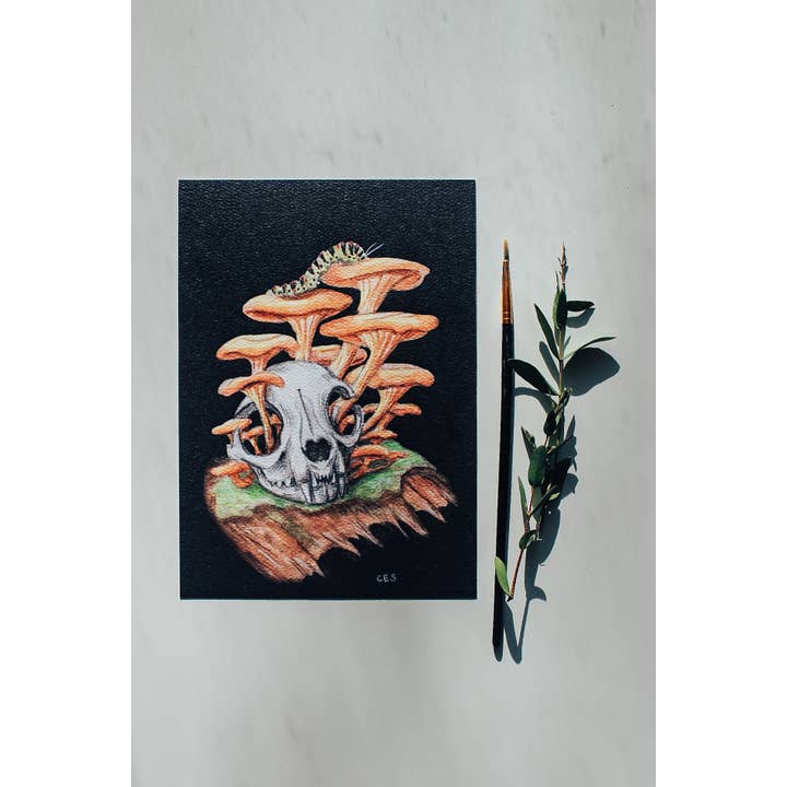 Motif de chanterelles et de crâne de chat domestique pour la vente par Brevity Art