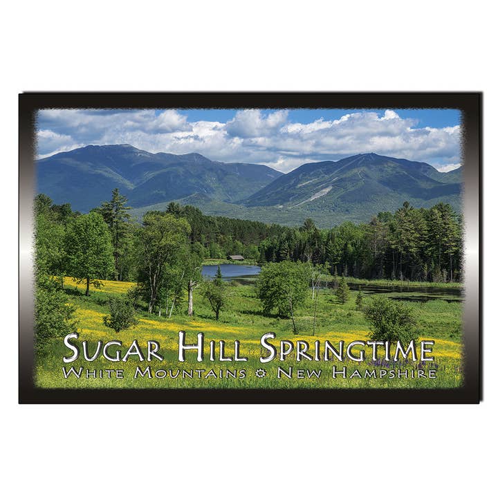 Cartão postal #9110 Sugar Hill Spring por atacado de White Mountain Images