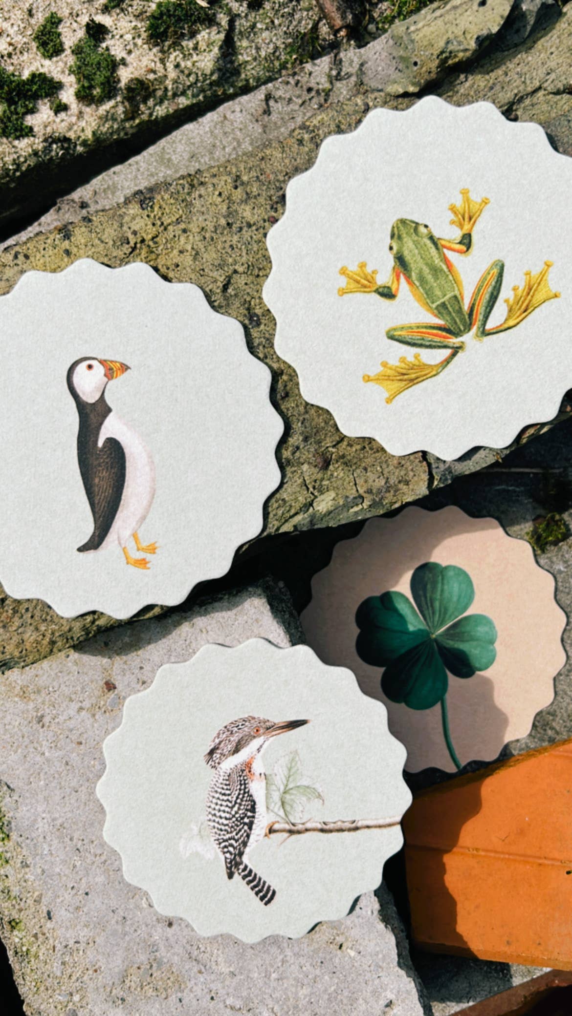 30x40 - Wholesale Coasters - Coaster Set Good Vibes 🍀🐓🐢 UPDATE - New Designs12