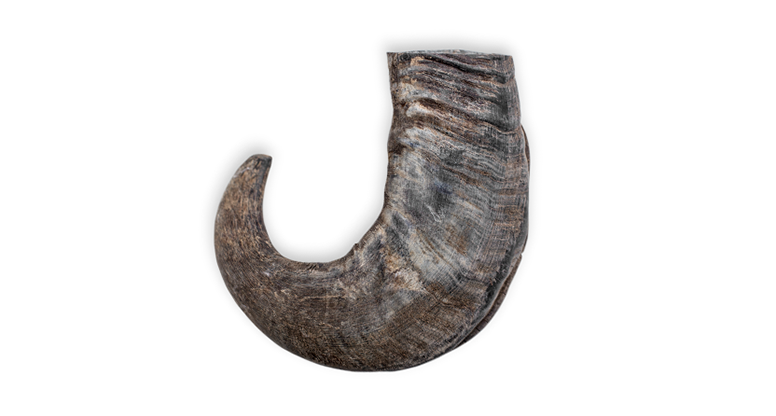 Rozie's Naturals - Wholesale Pet Treats - Dog - WATER BUFFALO HORN- 100% Natural, Dental Dog Chews & Treats11