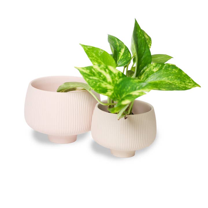 Lilo Japanese Succulent Planter Handmade Pots Porcelain for wholesale by Chive Canada