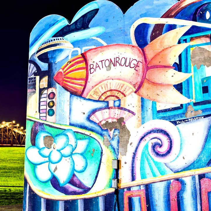 Porta-copos mural Baton Rouge Blimp por atacado de South Austin Gallery