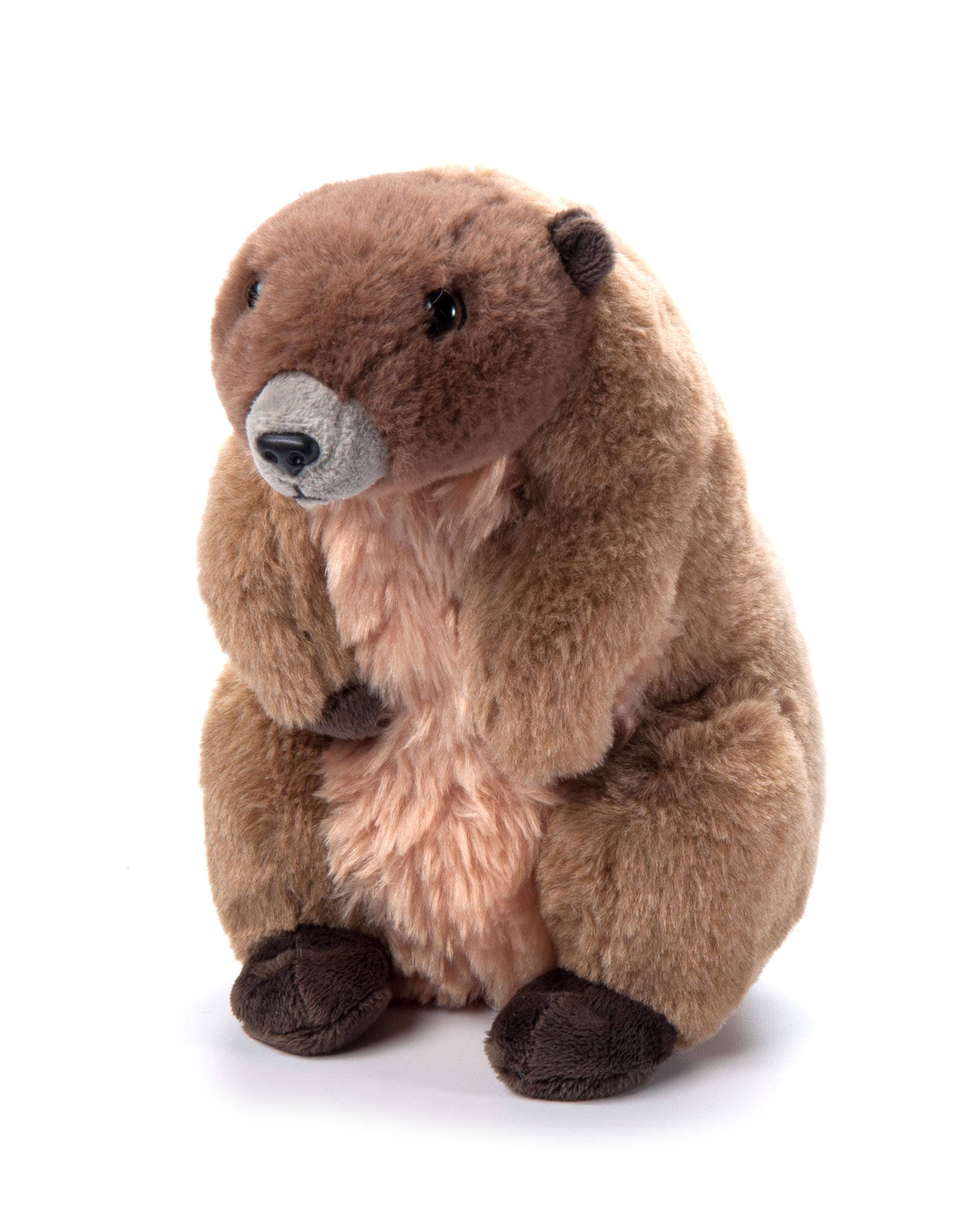 The Petting Zoo - Wholesale Stuffed/Plush Toy - Kids & Baby - 9" (22cm) Wild Onez Marmot / Groundhog0