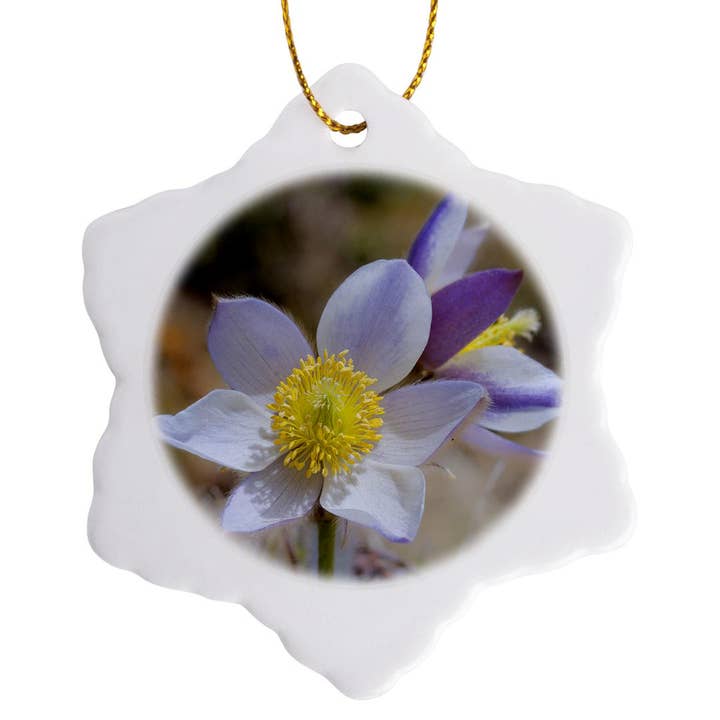 3dRose - Wholesale Ornament - 3dRose, Spring pasqueflower blooms in mountains of Otztal Alps, Italy., Ornament7