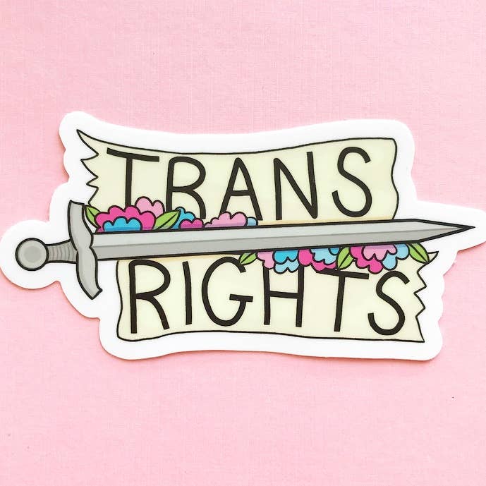 Raspberry Cloud Studio - Wholesale Sticker - Trans Rights Sword LGBTQ Vinyl Sticker1