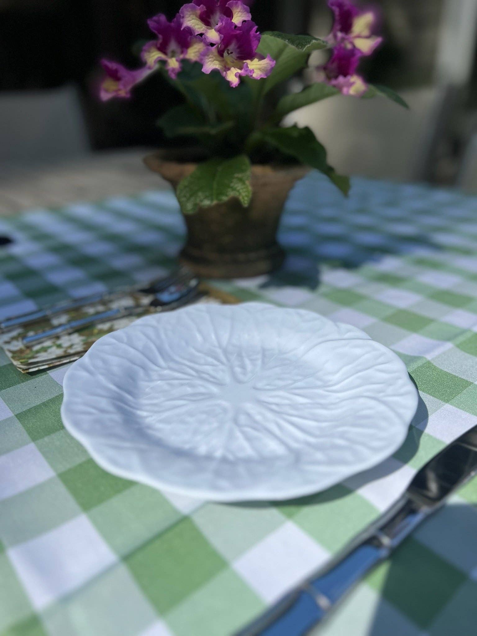 PICNiC – wholesale Salad plate – White Cabbage Plates (Set of 4)1