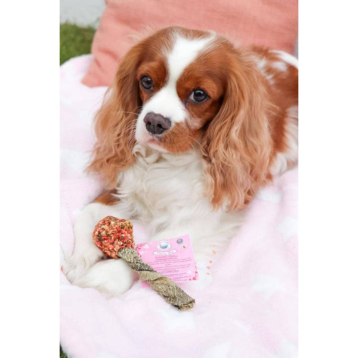 Belpharmed bv: Cooka's Cookies & Sensidog - Wholesale Pet Treats - Dog - Lollipop - Valentine's Day Edition5
