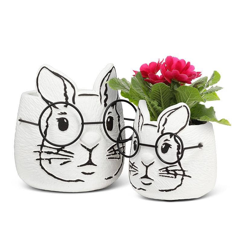 Abbott - Wholesale Plant Pot - Large Bunny Planter with Glasses-5"H2