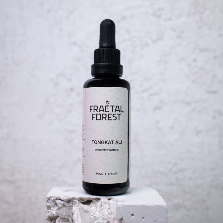 Tongkat Ali for wholesale by Fractal Forest