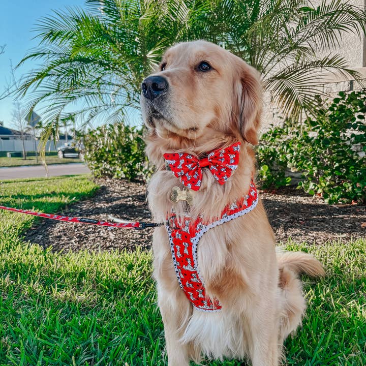 SASSY WOOF - Wholesale Pet Bow Tie - Dog - Dog Sailor Bow - Disney's 101 Dalmatians5