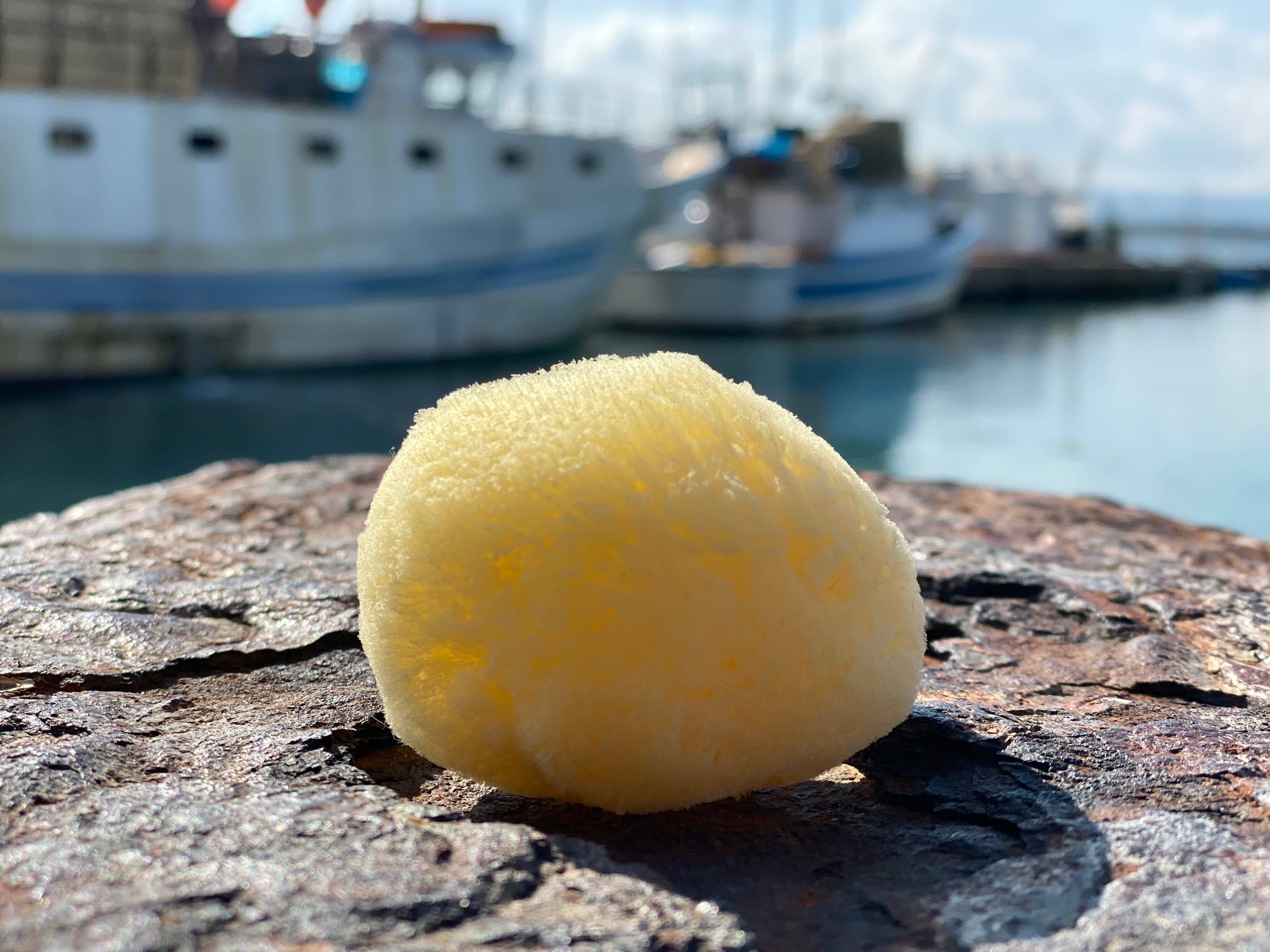 Katari Beauty – Großhandel Badepuff/-schwamm – Reinigungs- und Peelingschwamm | Seidig weicher Meeres-Schwamm 5-7,5 cm1