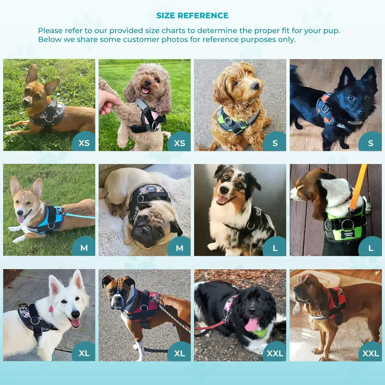 Joyride Harness - Wholesale Pet Harness - Dog - Teal Ocean Joyride Premium Advanced Dog Harness 2.04