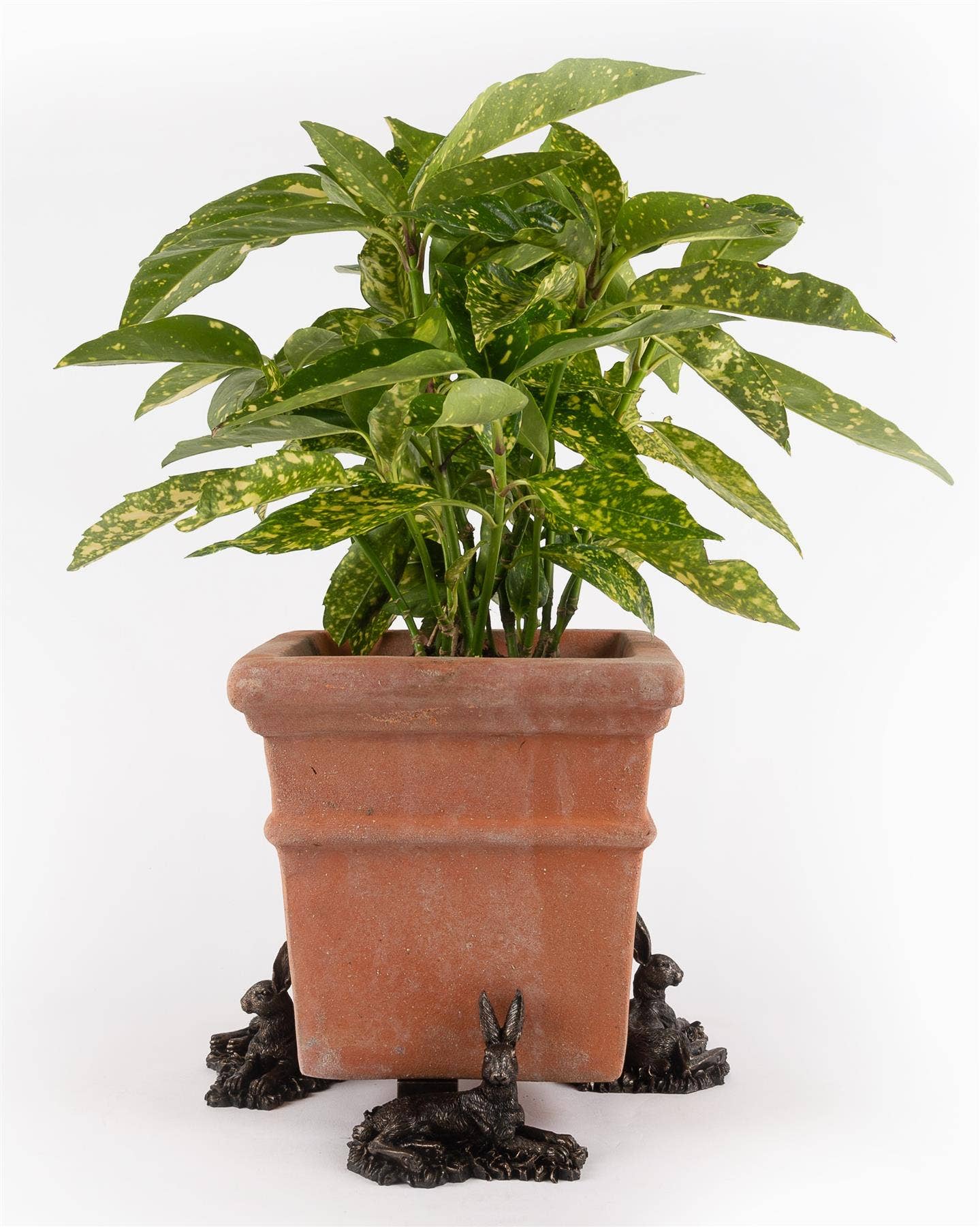 Jardinopia US - Wholesale Plant Pot - Resting Hare Plant Pot Feet - Set of 30