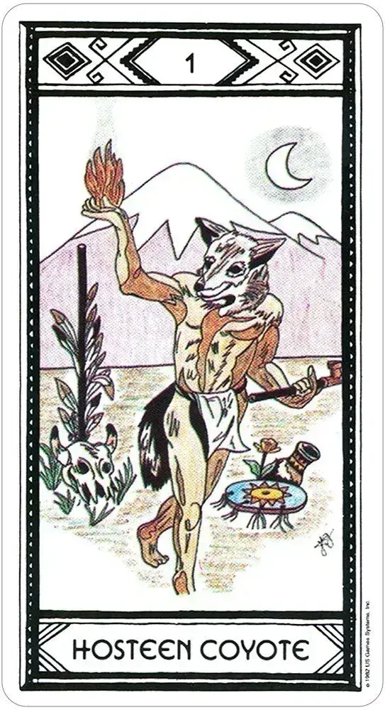 U.S. Games Systems Inc. - Wholesale Tarot Cards - Native American Tarot Deck2
