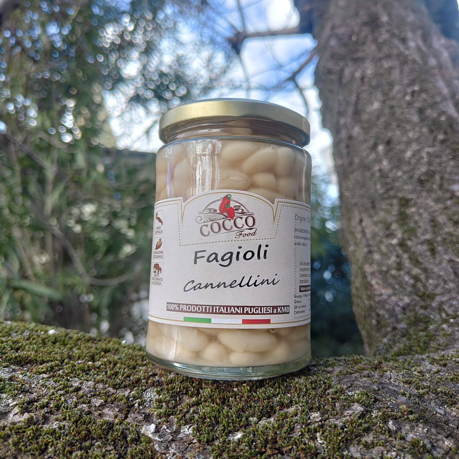 Cocco Food – wholesale Bönor – Vita cannellinibönor i glasburk 280 g – Tillverkade i Italien2