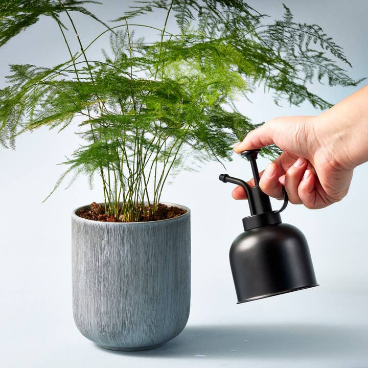 Modern Sprout - Wholesale Plant Mister - Plant Mister