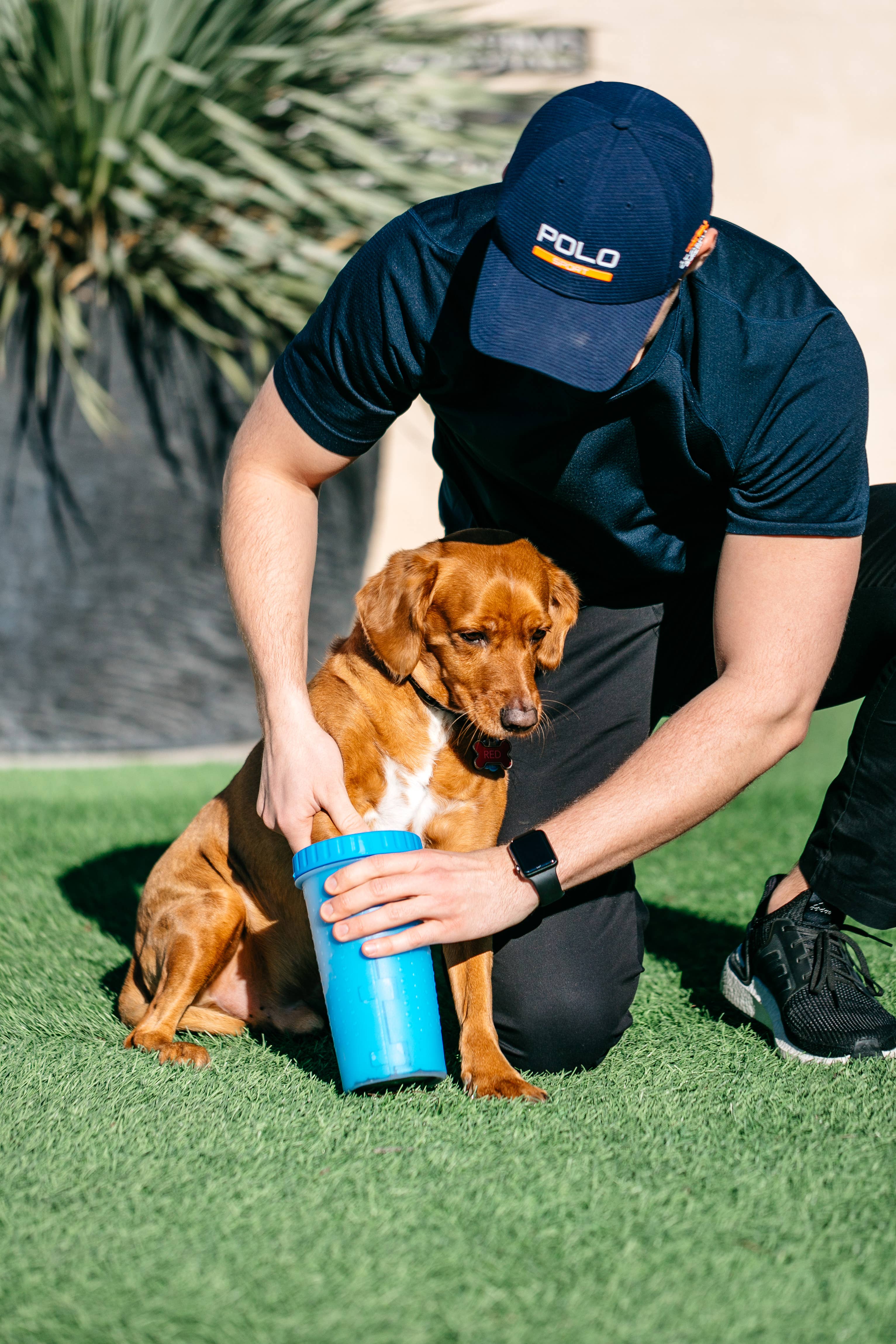 Dexas - Wholesale Pet Grooming Aid - Dog - Mud Buster5