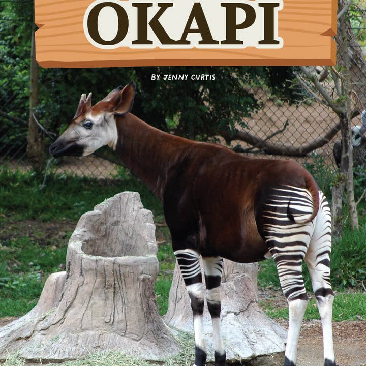 Conoce el libro del cuidador de edZOOcación del Okapi - Tapa blanda para venta al por mayor de Wildlife Tree