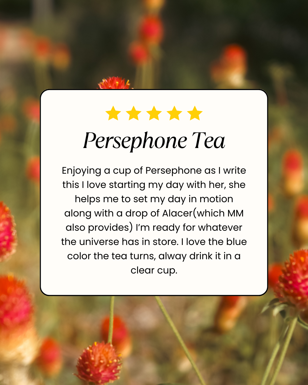 The Medicinal Melange - Vente Thé en vrac - Thé Perséphone (Tonique de printemps, tonifiant, riche en minéraux et vitamines)1