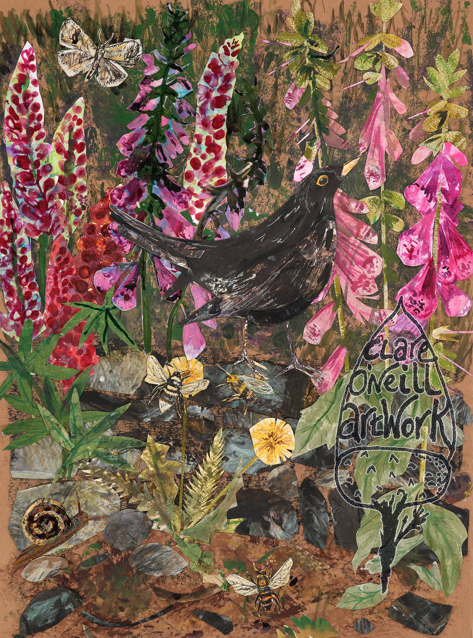 Clare O’Neill Artworks - Vente Affiche d'art - Tirage artistique A3 : Merle noir dans les gants de renard1