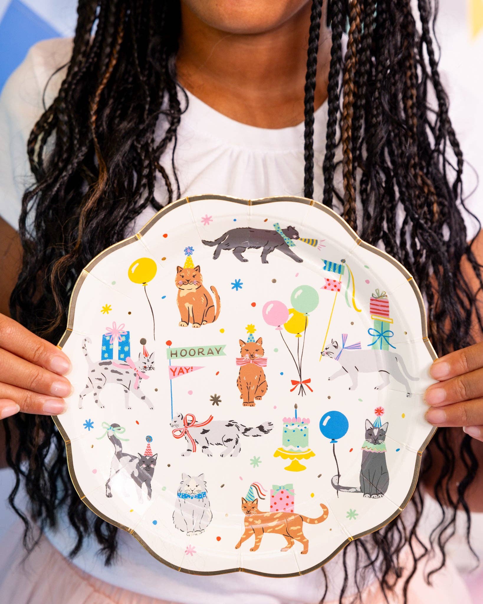My Mind’s Eye - Wholesale Disposable Plate - PET1143 - Cat Party Plate1