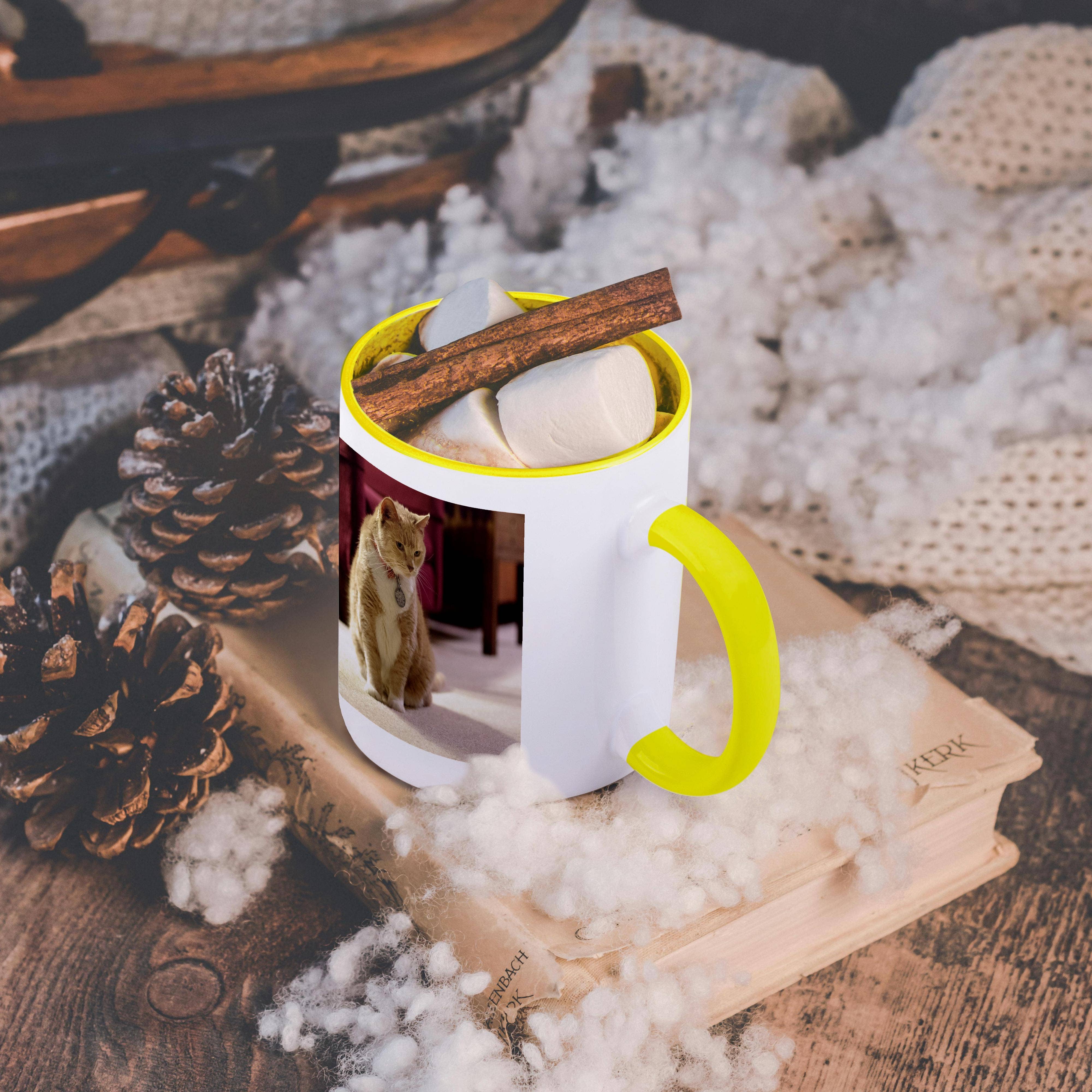 3dRose - Wholesale Coffee Mug - 3dRose, Orange tabby housecat in a living room - NA02 MFR0000 - MFR, Mug5