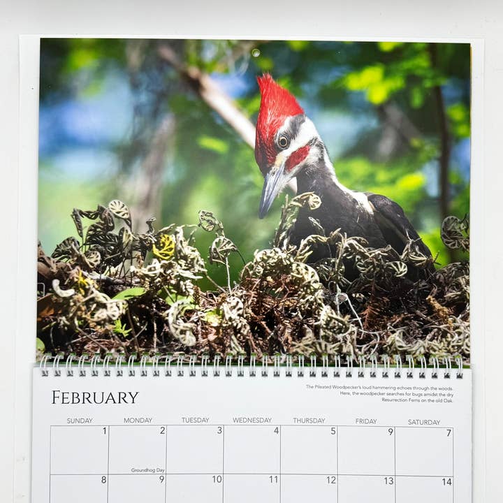 Wren - Wholesale Calendar - 2026 Calendar, A Closer Look2