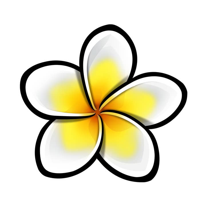 Flower Sticker - 50 Yellow/White Plumeria Die Cut Stickers for wholesale by Aurora Stickers