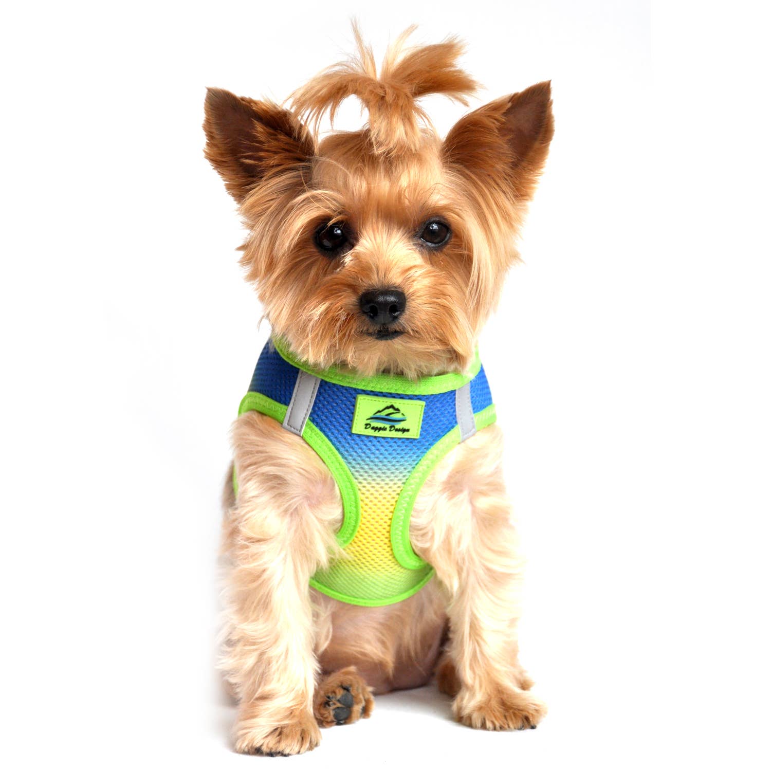 Doggie Design - Wholesale Pet Harness - Dog - American River Ombre Dog Harness - Cobalt Sport3